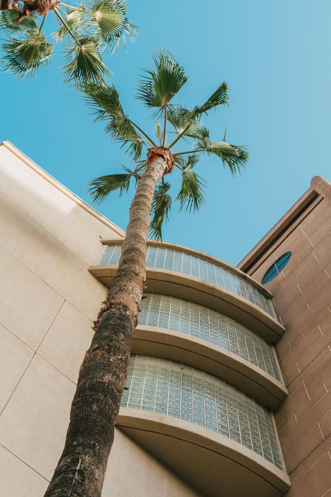 Courtyard By Marriott Los Angeles Lax / Century Boulevard Екстериор снимка
